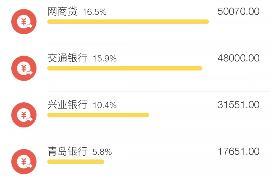 龙泉为什么选择专业追讨公司来处理您的债务纠纷？